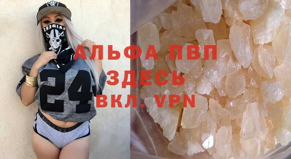 хмурый Зеленокумск