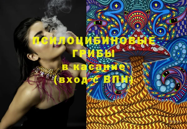 хмурый Зеленокумск