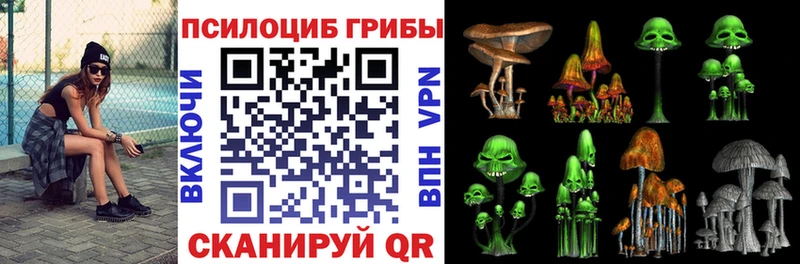 Купить где  Люберцы  Галлюциногенные грибы Magic Shrooms 
